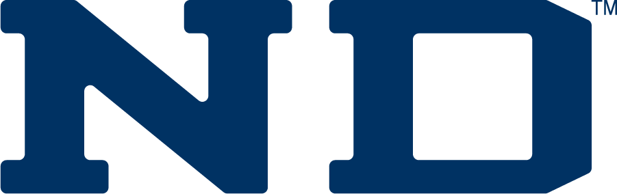 Notre Dame Fighting Irish 1994-2006 Wordmark Logo v2 DIY iron on transfer (heat transfer)